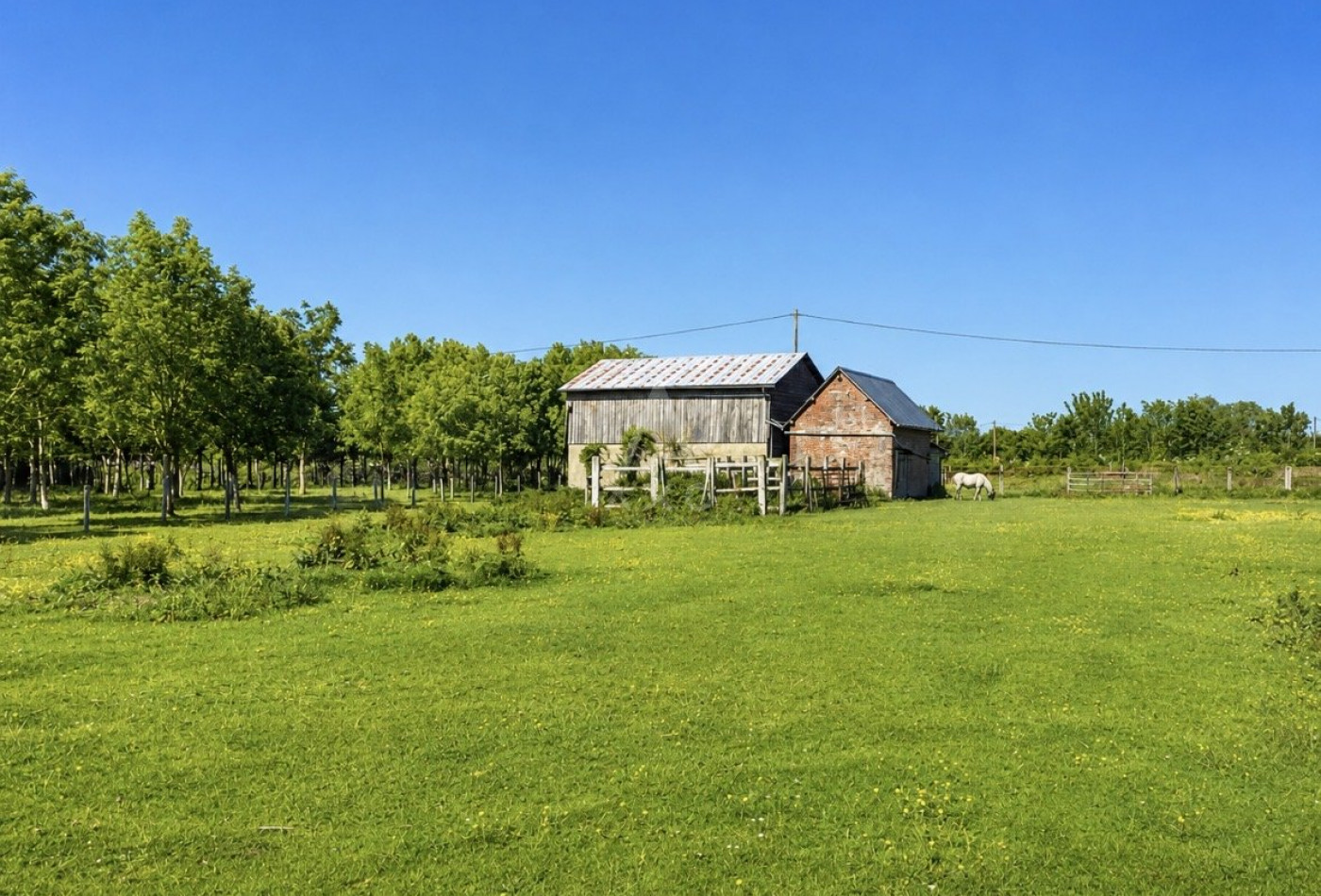 vente Haras / equestre Vimoutiers - Photo 8