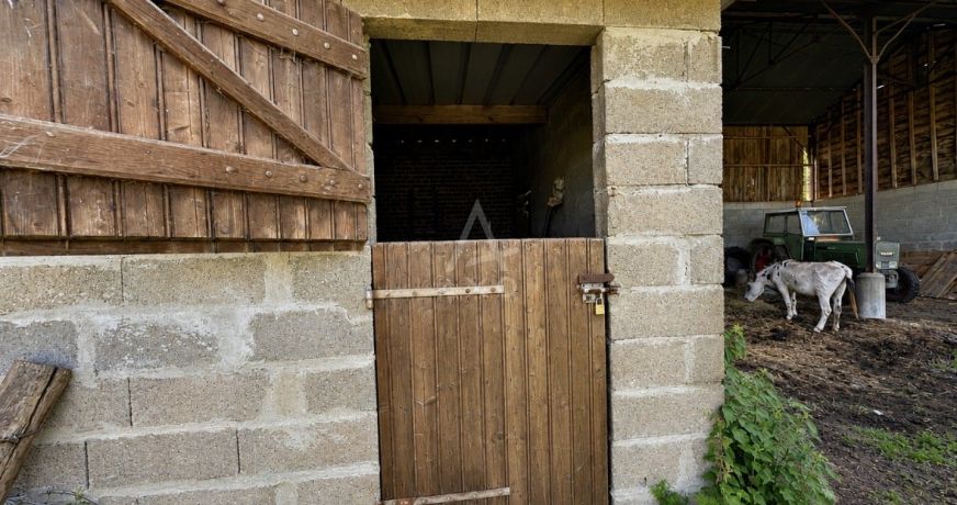 vente Haras / equestre Vimoutiers