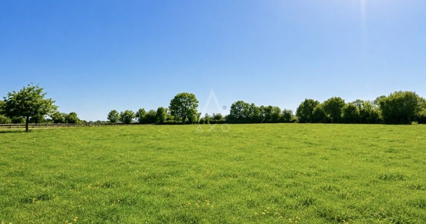 vente Haras / equestre Vimoutiers