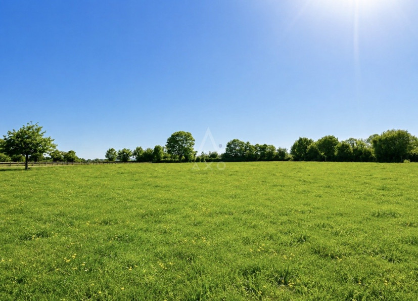 vente Haras / equestre Vimoutiers - Photo 3