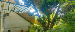 vente Maison Barace