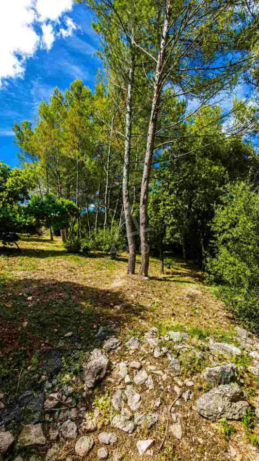 vente Maison et terrain Nimes - Photo 16