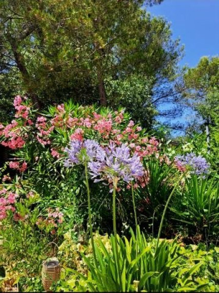 vente Maison et terrain Nimes - Photo 7