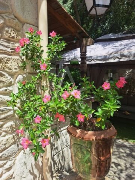 vente Maison et terrain Nimes - Photo 6