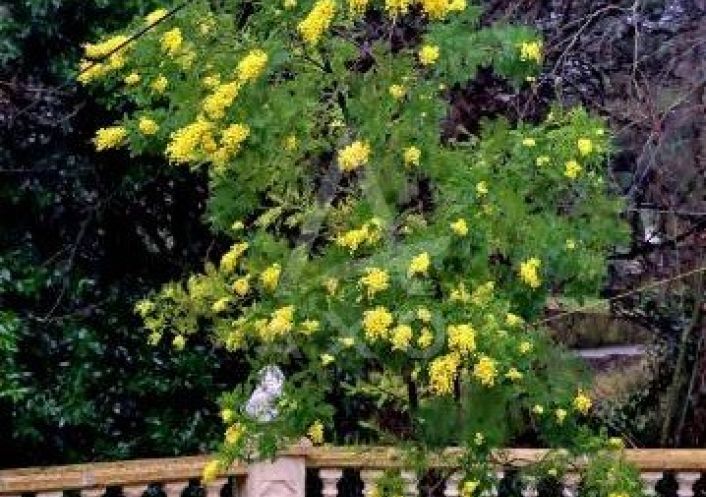 vente Maison et terrain Nimes