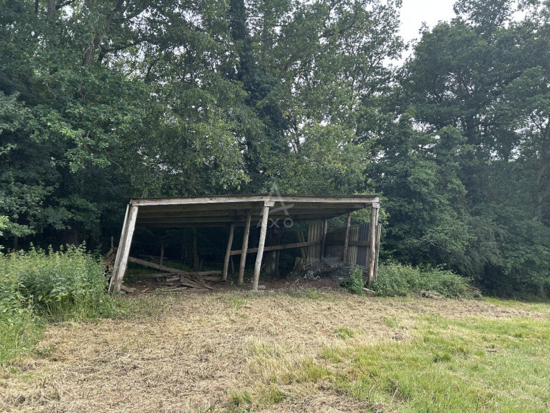 vente Terrain agricole Saint Jean Pierre Fixte - Photo 10