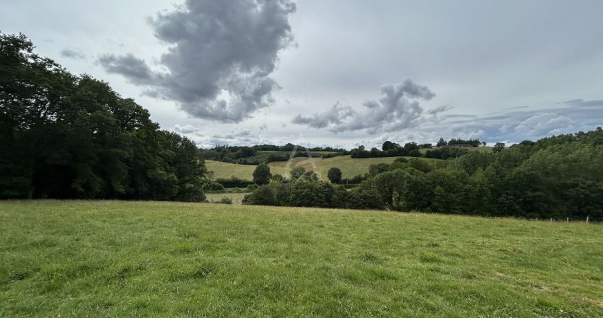 vente Terrain agricole Saint Jean Pierre Fixte