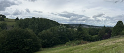 vente Terrain agricole Saint Jean Pierre Fixte