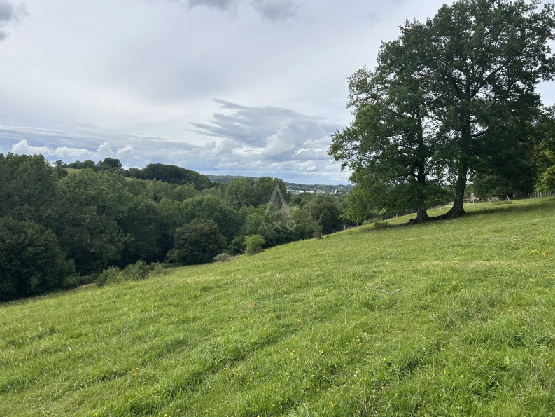 vente Terrain agricole Saint Jean Pierre Fixte - Photo 7