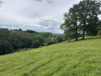 vente Terrain agricole Saint Jean Pierre Fixte