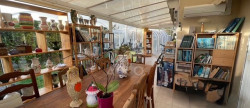 vente Maison Jard Sur Mer