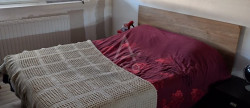 vente Maison Saint Pol Sur Mer