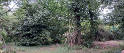 vente Terrain constructible Chateauneuf Sur Sarthe