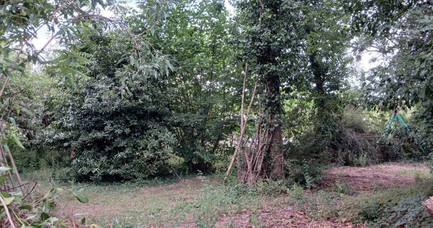 vente Terrain constructible Chateauneuf Sur Sarthe