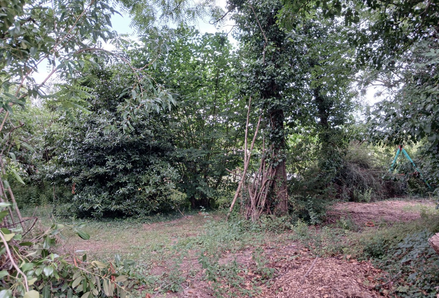 vente Terrain constructible Chateauneuf Sur Sarthe - Photo 2