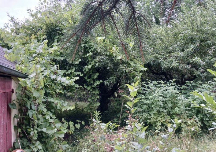 vente Terrain constructible Chateauneuf Sur Sarthe