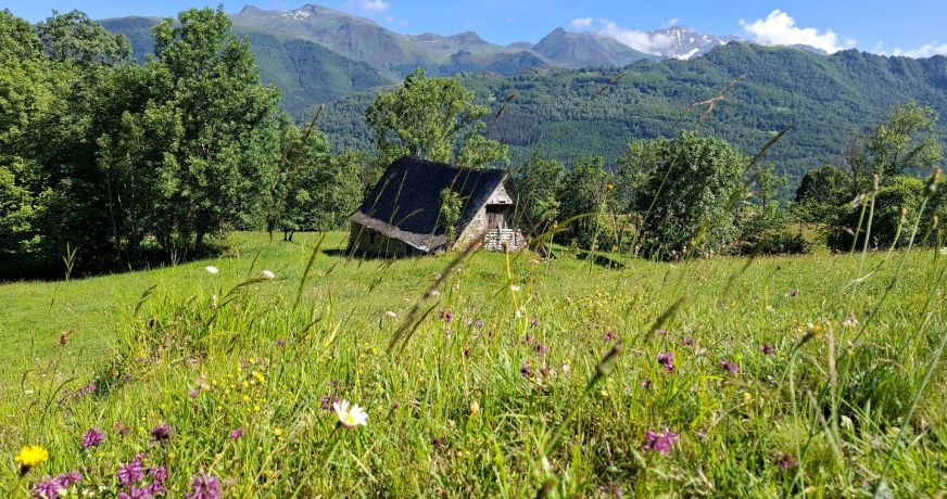 vente Grange Gaillagos