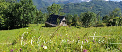 vente Grange Gaillagos
