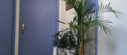 vente Appartement Epernay