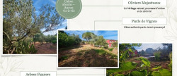 vente Maison et terrain Cuers