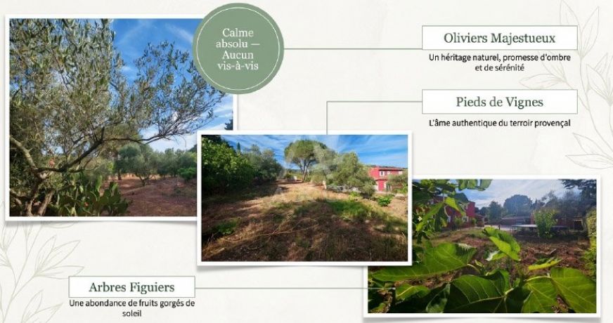 vente Maison et terrain Cuers