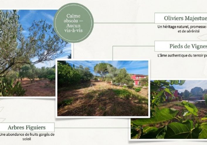 vente Maison et terrain Cuers