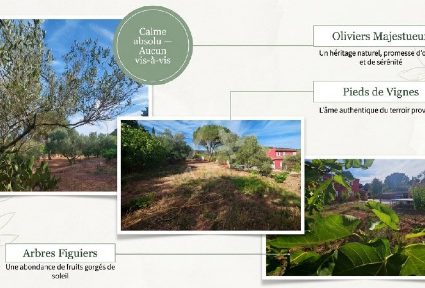 vente Maison et terrain Cuers - Photo 5