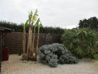 vente Maison Jard Sur Mer