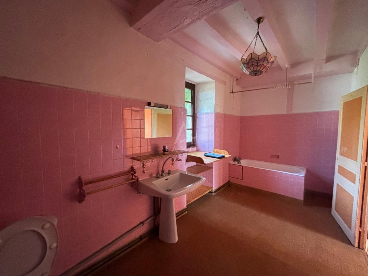 vente Maison Saint Denis D'anjou - Photo 12