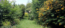vente Maison Pontrieux