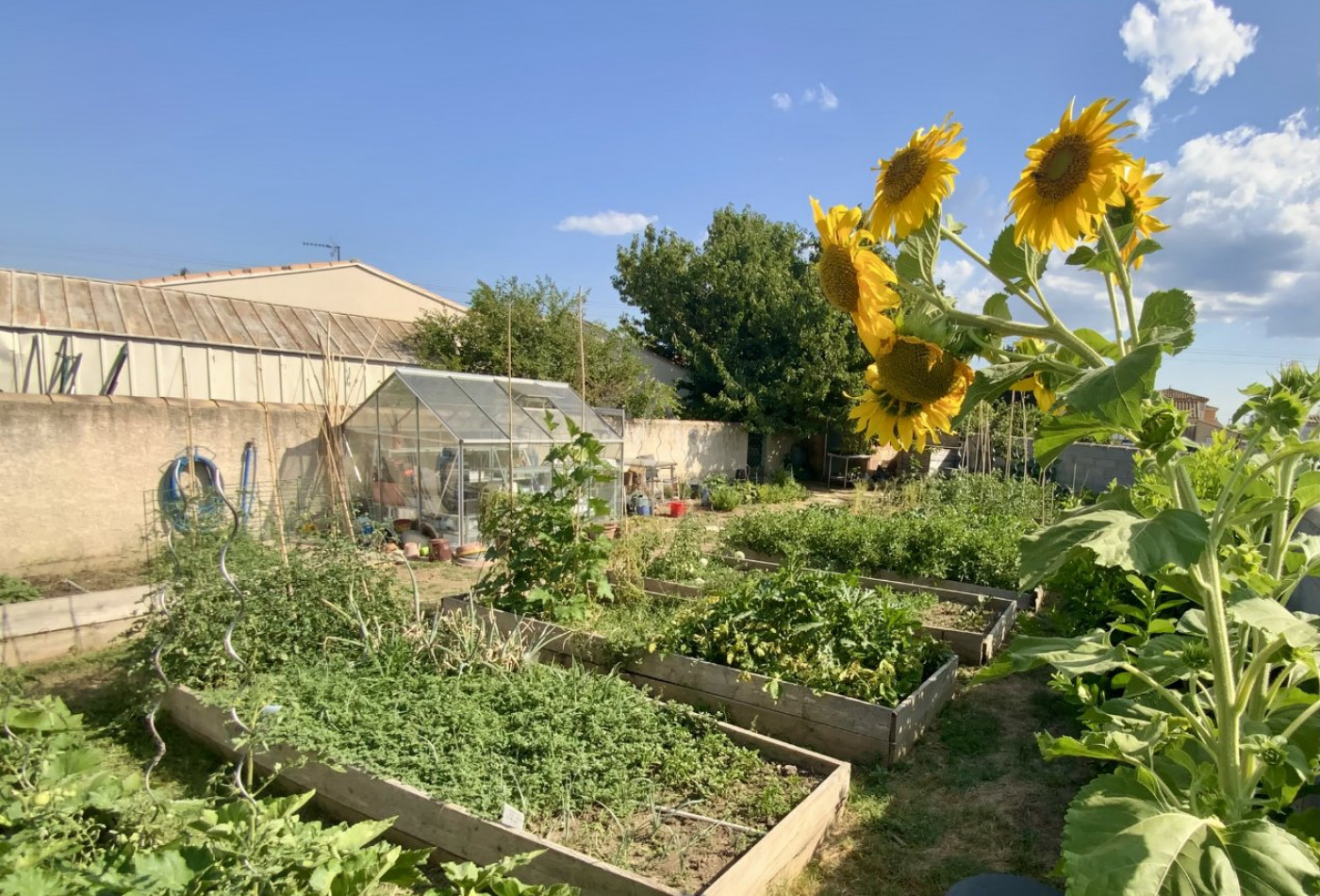 vente Maison individuelle Manduel - Photo 4