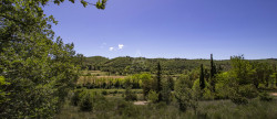 vente Terrain constructible Allemagne En Provence