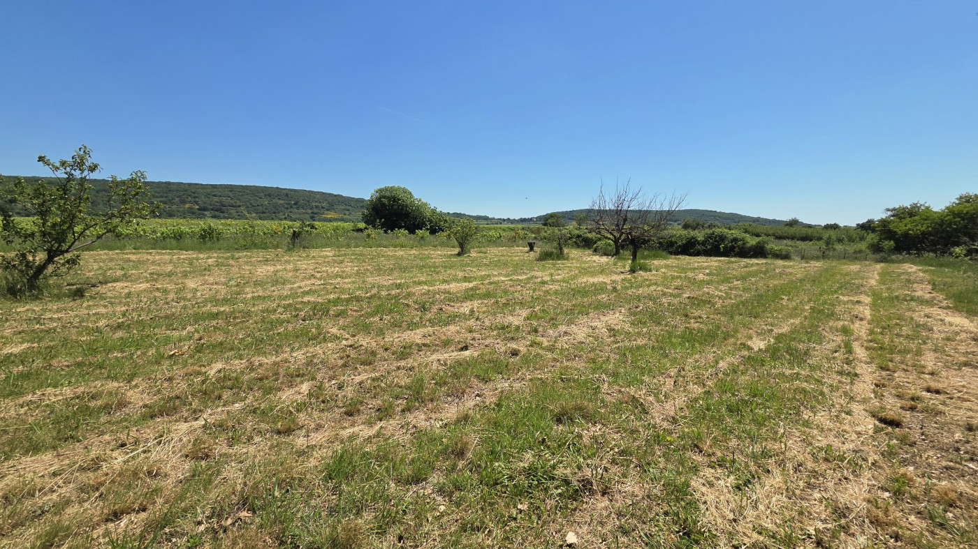 vente Terrain de loisir Neffies - Photo 12