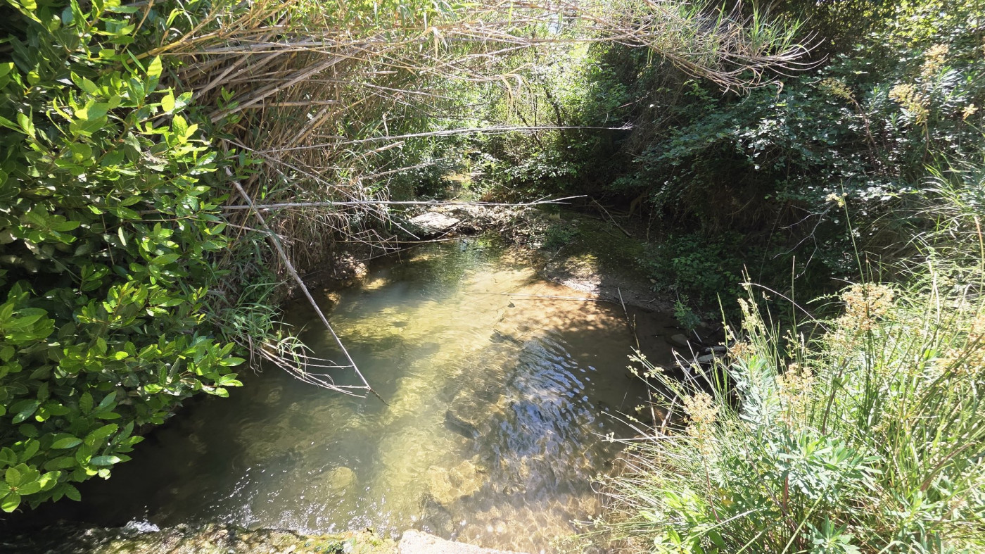 vente Terrain de loisir Neffies - Photo 13
