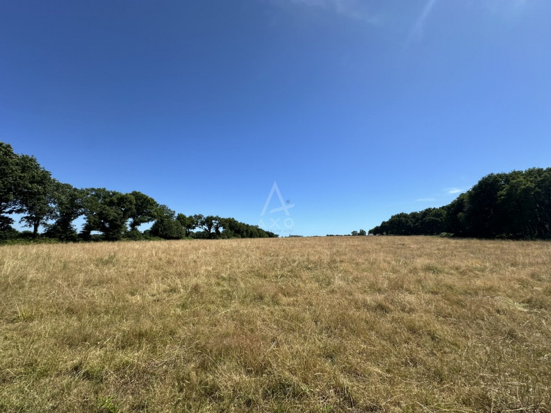 vente Terrain Locoal Mendon - Photo 7