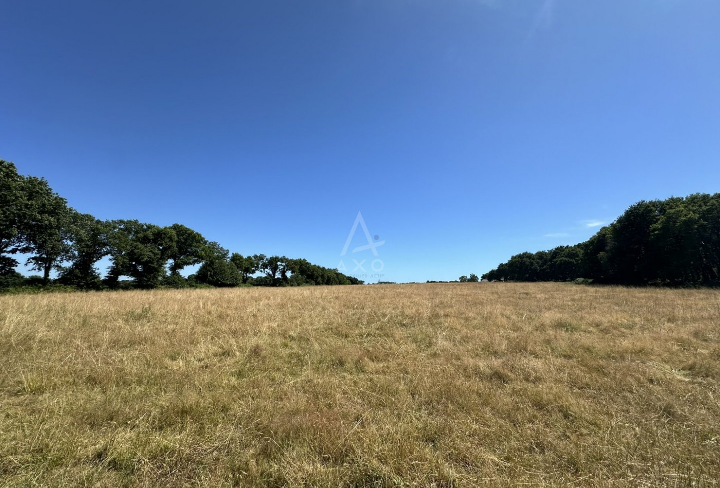 vente Terrain Locoal Mendon - Photo 7