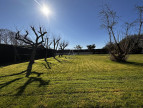vente Terrain Locoal Mendon