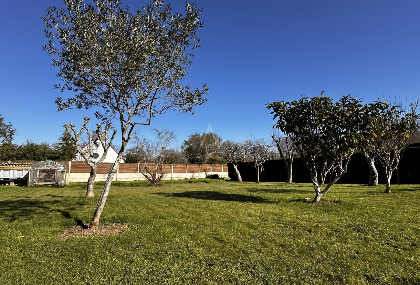 vente Terrain Locoal Mendon - Photo 3