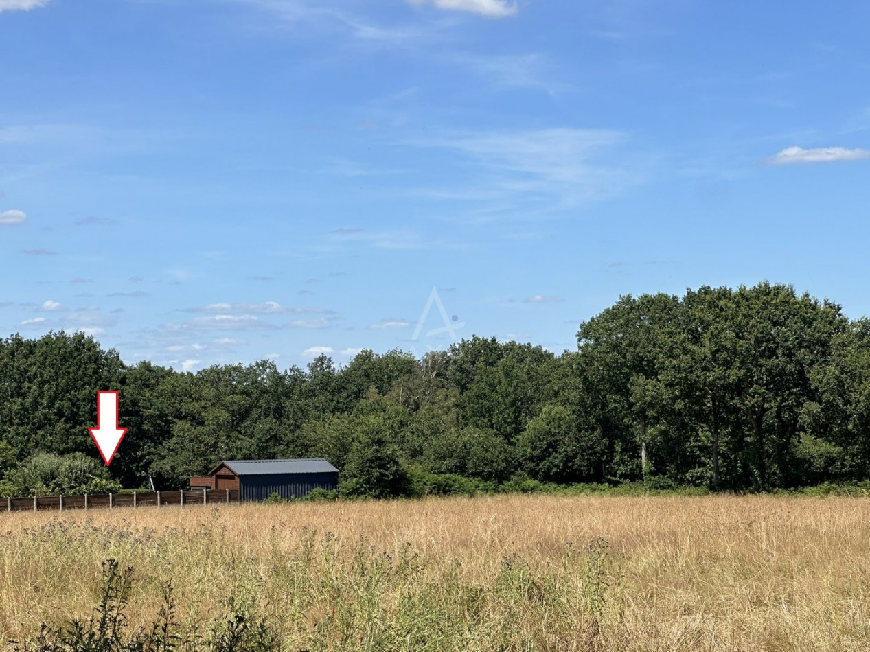 vente Terrain Locoal Mendon - Photo 1