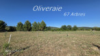 vente Terrain agricole Neffies