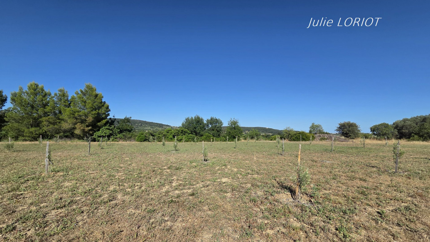 vente Terrain agricole Neffies - Photo 2