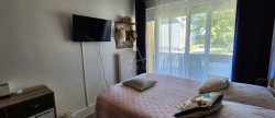 vente Appartement en rez de jardin Lanveoc