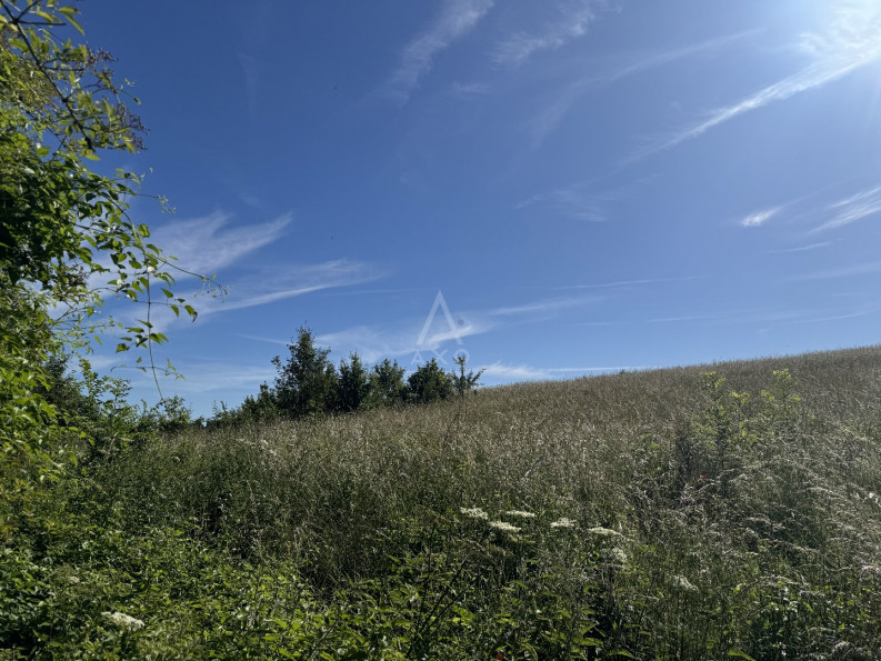 vente Terrain Douchy - Photo 1
