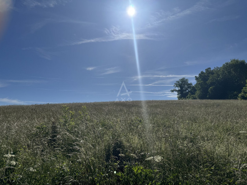 vente Terrain Douchy - Photo 2