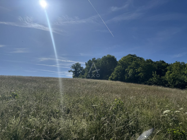 vente Terrain Douchy - Photo 3