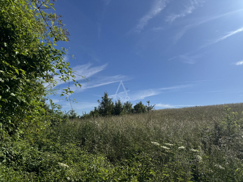 vente Terrain Douchy - Photo 4