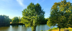 vente Maison Morannes