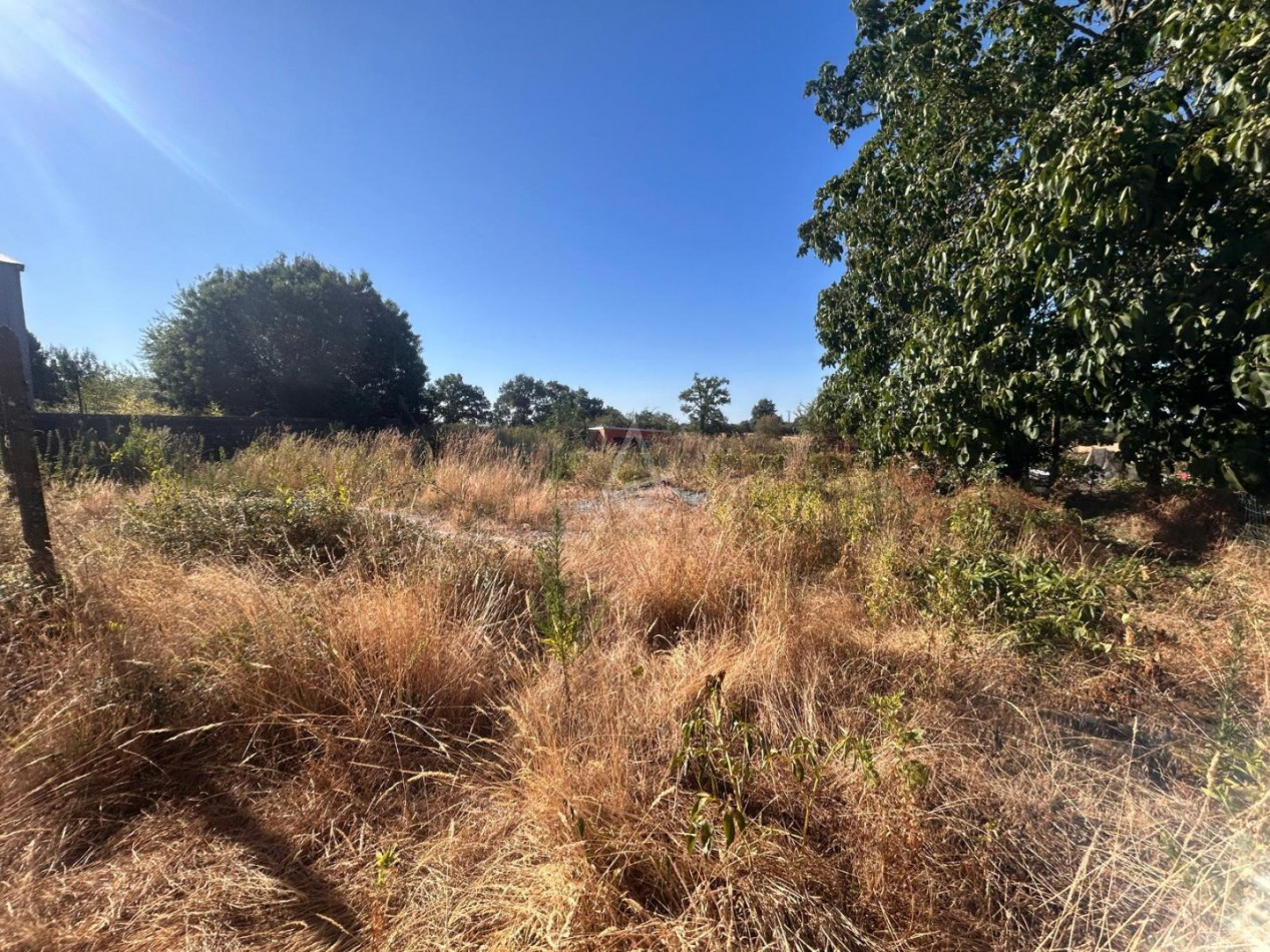 vente Maison Boussay - Photo 12