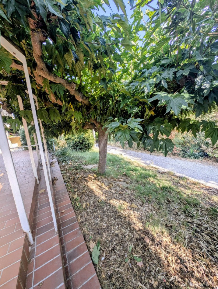vente Maison et terrain Fabrezan - Photo 3