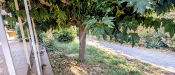vente Maison et terrain Fabrezan